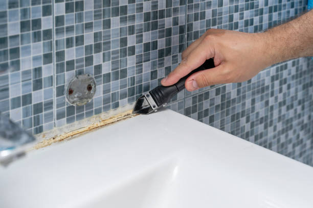 Best Office Mold Removal Services  in Nocona, TX