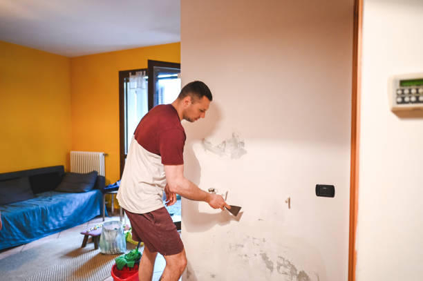 Best Local Mold Removal Service  in Nocona, TX